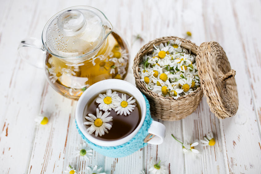 Chamomile Tea 101: How Chamomile Tea Support Your Health